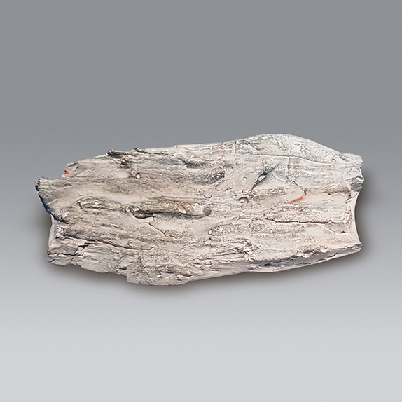 나무화석모형(보관케이스포함)