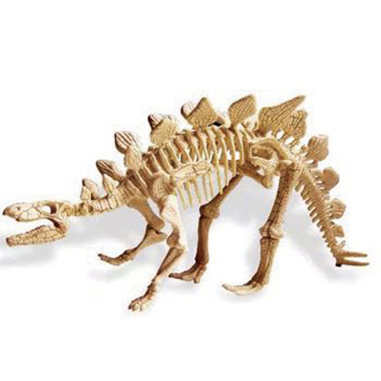 공룡화석 발굴 KIT(스테고사우르스)