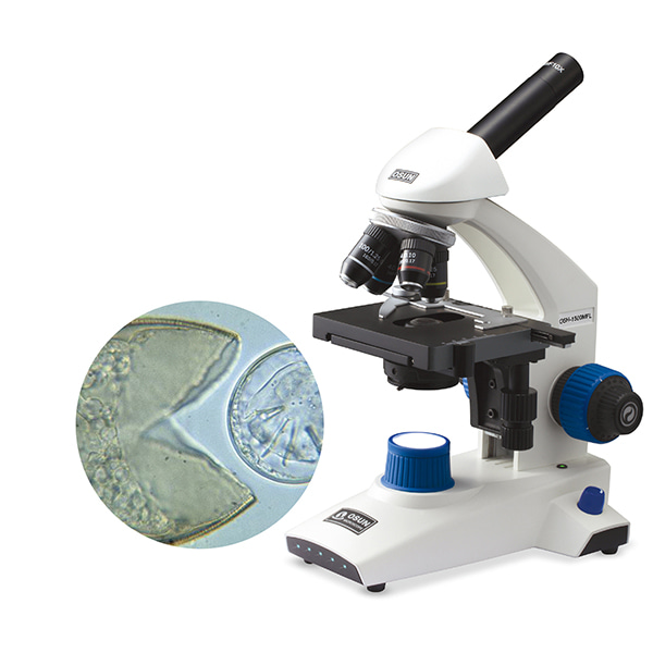 생물현미경 OSH-M리 시리즈